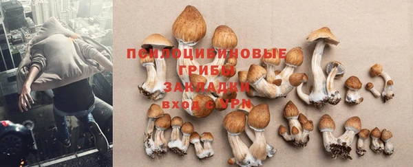 не бодяженный Арсеньев