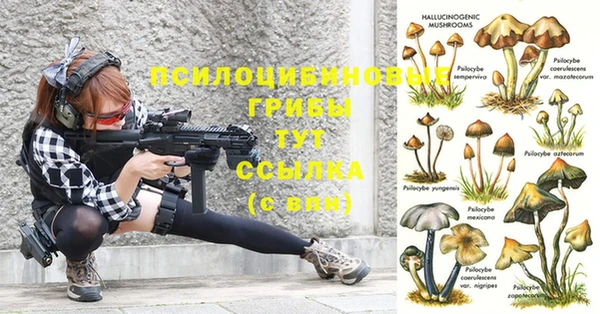 не бодяженный Арсеньев