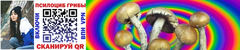 Галлюциногенные грибы мухоморы  OMG ссылки  Приозерск 